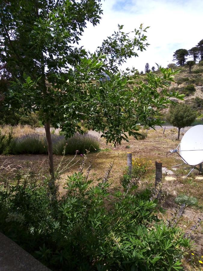 La Berendina Ξενοδοχείο Huechulafquen Lake Εξωτερικό φωτογραφία